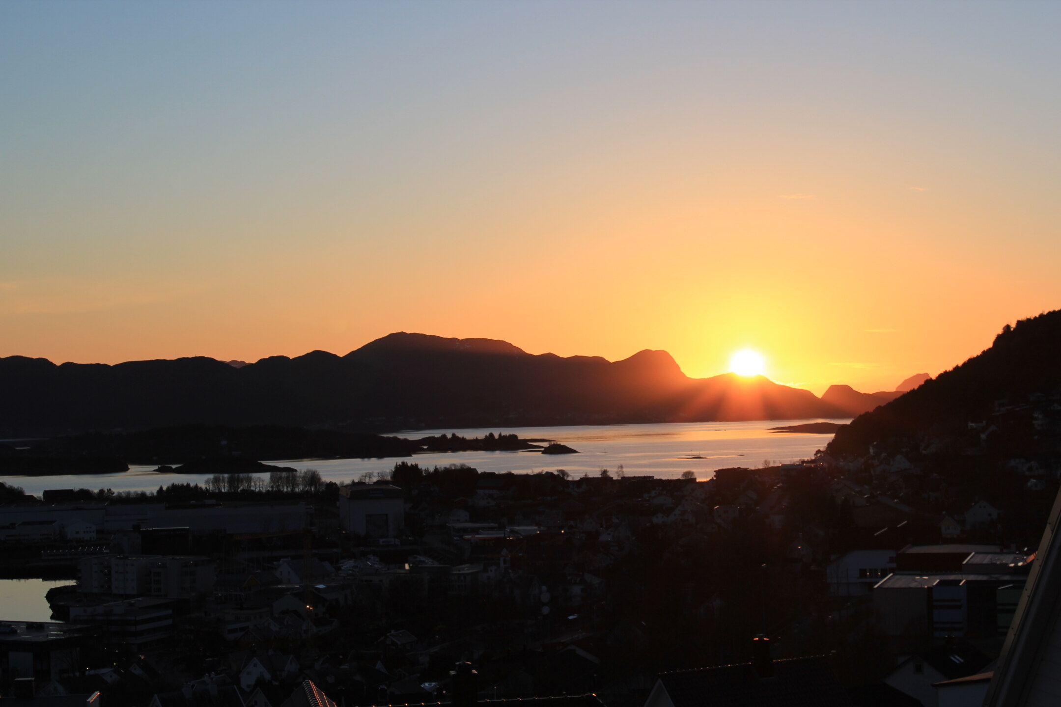 <?php echo pulse_output(); ?>