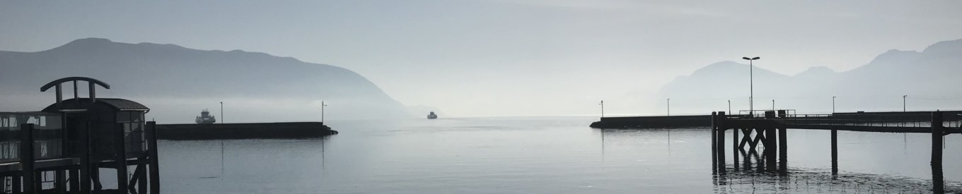 <?php echo pulse_output(); ?>